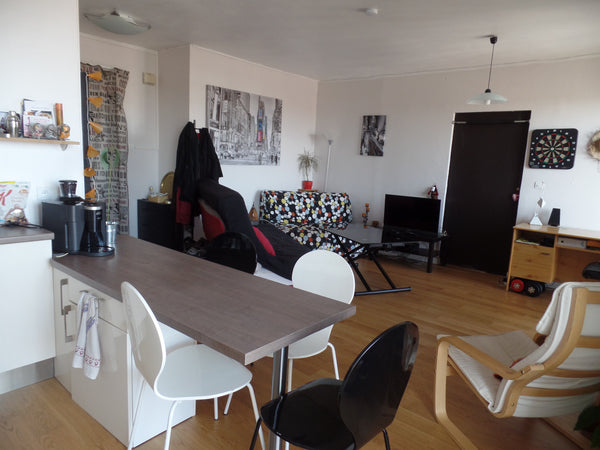 Nous souhaitons vous faire profiter de notre appart les jours ou nous n'y sommes Lyon, France T2 48 m2 proche centre de Lyon Entire rental unit vacation rental 8551360