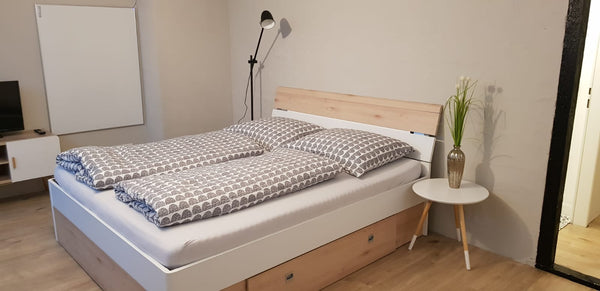 My Apartment is in close proximity to the city center. The Stephansdom (center)  Vienna, Austria urban apartment - clean & central Entire rental unit vacation rental 34862476