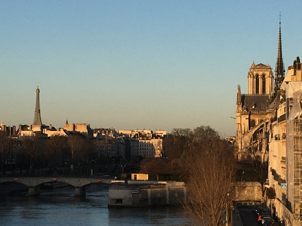 Large bright and charming parisian flat 1200 ft2 <br /><br />High ceiling, south Paris, France Paris-sur-Seine-chez-caroline Seine-view Central Entire rental unit vacation rental 21644278