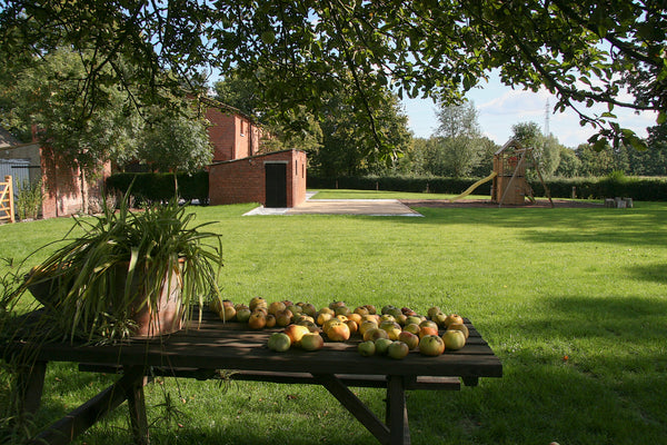 Logeren tussen haven en heide, gelegen in een polderdorp van Antwerpen, nl Beren Wuustwezel, Belgium Vakantiewoning Monnikenhoeve (#32) Entire home vacation rental 8751883