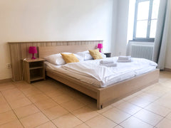 Located in one of the largest cities of the European Union, the Ginosi Elema Apa  Dusana Prague Entire rental unit vacation rental 28234384