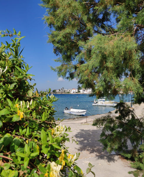 Vrahakia is a cosy little house with a rocky garden and spectacular seaview. The Chania, Greece Vrahakia Apartment #1 at Marina Galatas Entire rental unit vacation rental 668741145302242935