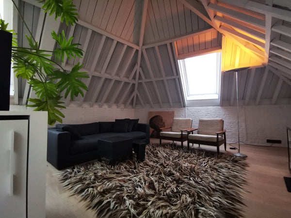 Cosy room for two with private bathroom and toilet in a stylish appartement in t Antwerp, Belgium Room with private shower room Private room in rental unit vacation rental 19110897