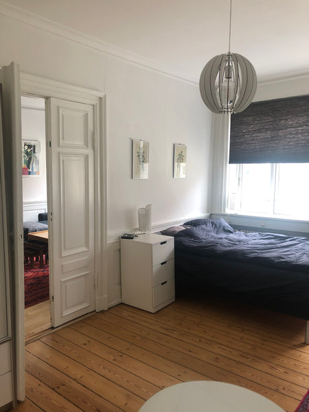 The apartment is located in the Center of Copenhagen. Close to sightseeing and s  Spacious apartment in central Copenhagen. Entire condo vacation rental 639800310102475375