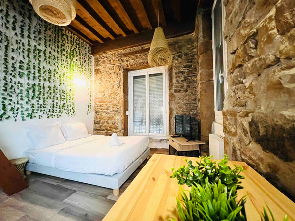 Au cœur du 7eme arrondissement de lyon dans une rue très calme, cocon tout équip Lyon, France NID DOUILLET CHIC HYPERCENTRE Entire rental unit vacation rental 53504060
