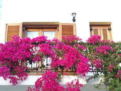 Benigna Studios is a small, family-run enterprise .All studios have a private ba Greece Benigna Studios Lipsi Private room in bed and breakfast vacation rental 6073804