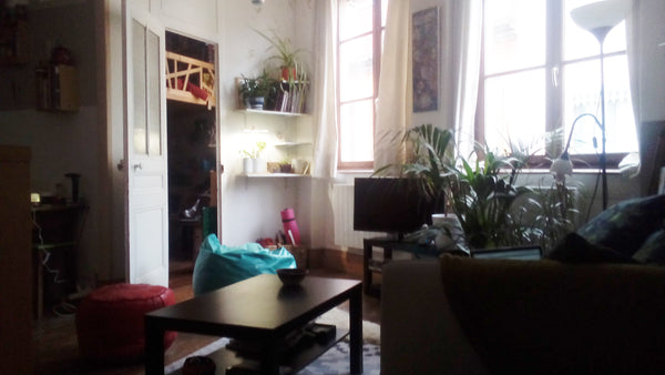 L'appartement se situe au deuxième étage d'un immeuble datant de la fin du XIX e Lyon, France Parenthèse à Saint Georges Private room in rental unit vacation rental 27322074