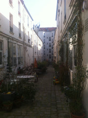 A deux pas du cimetière du Père-Lachaise et de la Place Gambetta, charmant studi Paris, France Studio with Garden ! Au Père-Lachaise ! Entire rental unit vacation rental 9839285