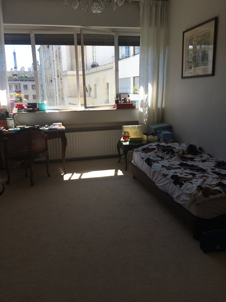 Lovely room near Eiffel Tower.<br />During my vacation I lease my lovely room in Paris, France Lovely room near Eiffel Tower Private room in rental unit vacation rental 19422329