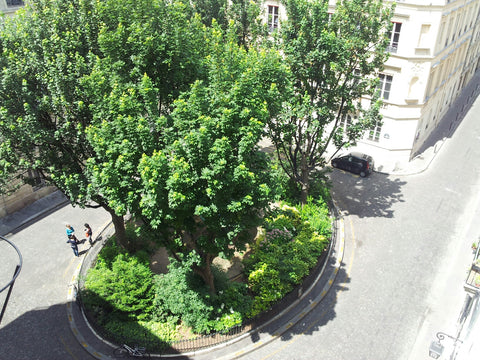 90 m2. Lounge room and kitchen overlooking one of the most charming and peaceful Paris, France Opera & Montmartre district Entire rental unit vacation rental 7013499