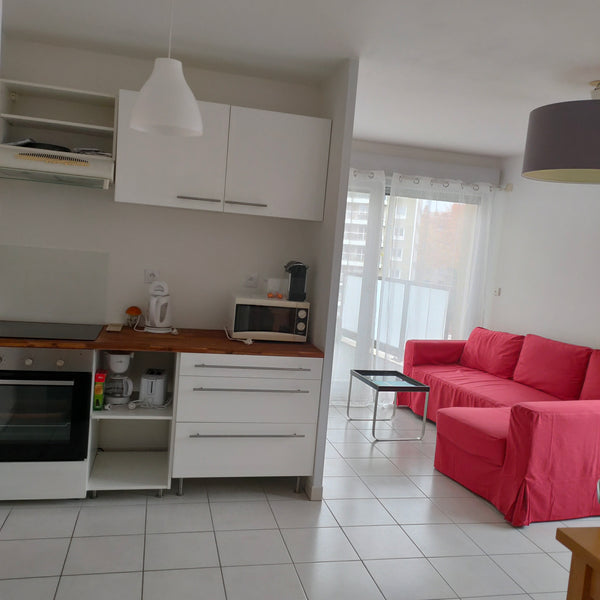 Séjournez dans cet appartement calme de 45m2 avec balcon proche de la halle Tony  Appartement T2 Lyon 7 ème Entire rental unit vacation rental 765137900402632145