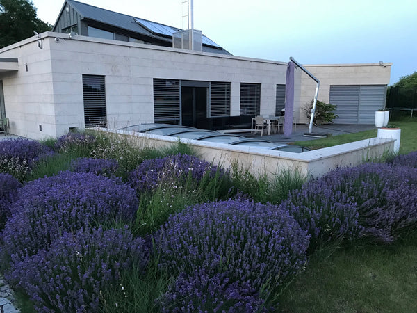 The villa is located in a residential villa part at about 30 minutes from Vences Prague, Czechia Wellness Villa in Prague Entire villa vacation rental 48218681