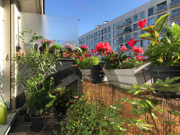 <b>The space</b><br />Loue appartement 2 pièces rue de Charonne,très agréable lu Paris, France Apt de charme 2 pieces 35m terrasse Entire rental unit vacation rental 95915