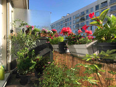 <b>The space</b><br />Loue appartement 2 pièces rue de Charonne,très agréable lu Paris, France Apt de charme 2 pieces 35m terrasse Entire rental unit vacation rental 95915