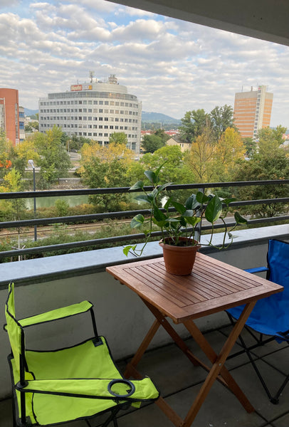 Genieße das einfache Leben in dieser ruhigen und zentral gelegenen Unterkunft.Le Austria Pause an der Donau, 20 Min vom Zentrum Private room in condo vacation rental 52936646