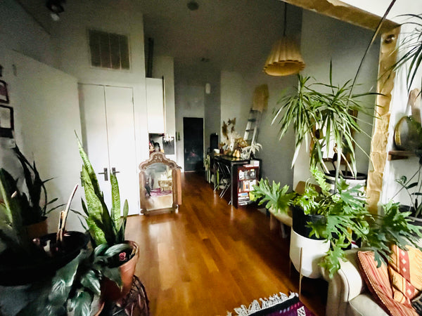 Welcome to our beautiful home in the heart of Bushwick. With 12ft ceilings in a  Los Angeles, CA Rental unit in Brooklyn · ★4.75 · 1 bedroom · 1 bed · 1 shared bath Private room in rental unit vacation rental 645666659875635272