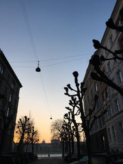 Sunlit and spacious apartment situated centrally on trendy Nørrebro - the heart  Virum, Denmark Perfect apartment, perfect location Entire rental unit vacation rental 32304962