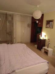 Hi!  This is an Opportunity for Valentine's and Carnival's Weekend only!!<br />L Vienna, Austria February-only offer Shared room in rental unit vacation rental 41170092