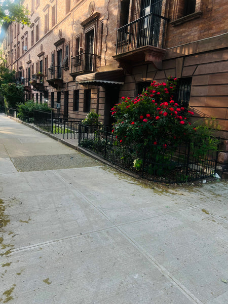 This is spacious flat therefore safe and comfortable New York, NY Townhouse in New York · ★4.75 · 1 bedroom · 2 beds · 1 shared bath Private room in townhouse vacation rental 902208295121798734