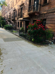 This is spacious flat therefore safe and comfortable New York, NY Townhouse in New York · ★4.75 · 1 bedroom · 2 beds · 1 shared bath Private room in townhouse vacation rental 902208295121798734