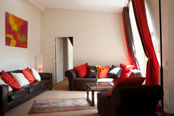 Spacious, bright and private  60m² 1 bedroom apartment between Montmartre & Oper Paris, France 52 Clichy the luxury of Paris, the comfort of home Entire condo vacation rental 5488031