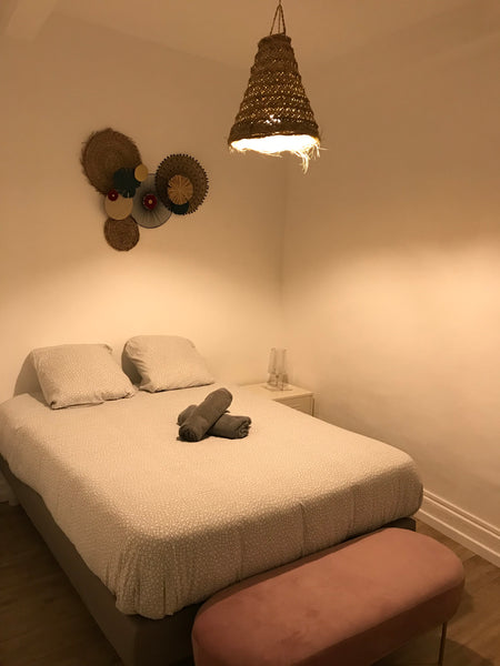 Joli appartement<br /><br /><b>Guest access</b><br />Appartement entier Lyon, France Cosy 1 chambre-Fresque des Lyonnais-Terreaux Entire rental unit vacation rental 43694071
