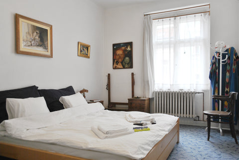 At the borders between Zizkov -the most boem neighbourhood in Prague- and Vinohr Prague, Czechia A local experience Entire rental unit vacation rental 6084046