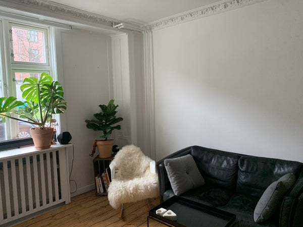 Perfekt beliggenhed i hjertet af Vesterbro Entire rental unit vacation rental 49974526