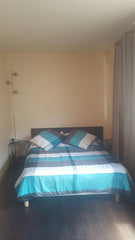 In the heart of Paris 2 min away from St Lazarre station, facing Printemps and L  Charming flat in Paris Entire rental unit vacation rental 14291097