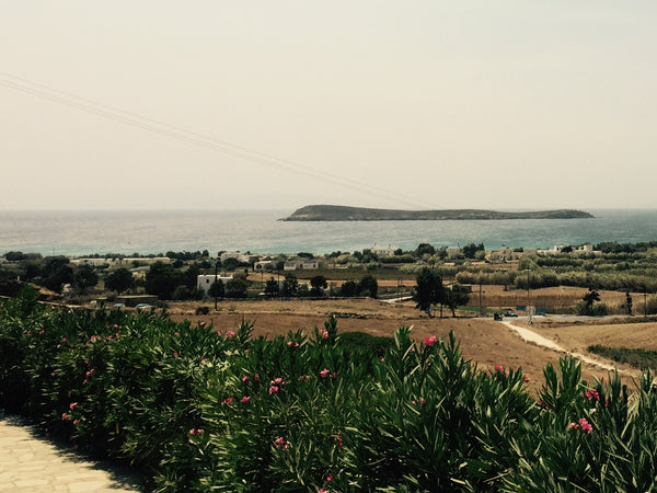 The cycladic maisonette is located at the most beautiful and famous beach of Par  Villa Eva Cycladic home vacation rental 18004316