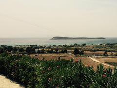 The cycladic maisonette is located at the most beautiful and famous beach of Par  Villa Eva Cycladic home vacation rental 18004316