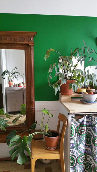 Venez passer une nuit ou plusieurs dans une charmante chambre. La cuisine/salon  Lyon, France chambre privée le Berthelo Private room in rental unit vacation rental 40148602