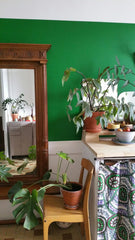 Venez passer une nuit ou plusieurs dans une charmante chambre. La cuisine/salon  Lyon, France chambre privée le Berthelo Private room in rental unit vacation rental 40148602