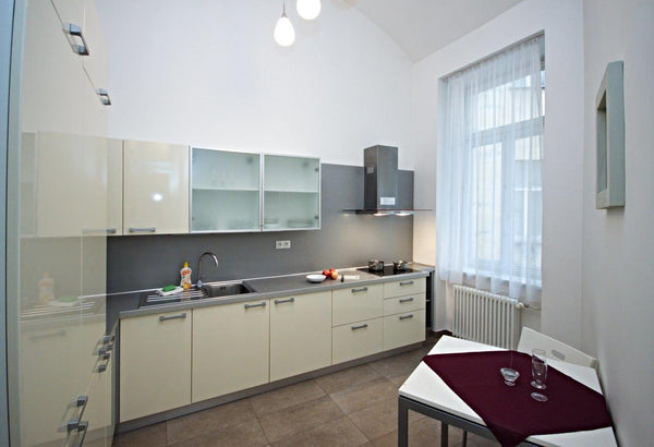 Here is an ideal holiday home in a fabulous setting on the banks of the Vltava R Prague, Czechia HorrorCore Vltava apartment Entire rental unit vacation rental 21991878