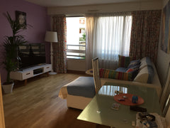 Luxueux, très calme, donnant sur jardin, immeuble très sécurisé avec vidéo phone Paris, France Appt luxueux à deux minutes de la Tour Eiffel Entire rental unit vacation rental 19761672