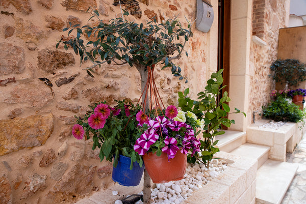 Enjoy your stay in our luxurious suite. It includes all the amenities and facili Chania, Greece Edward Luxury Suites 3 Room in hotel vacation rental 607125465102437906