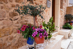 Enjoy your stay in our luxurious suite. It includes all the amenities and facili Chania, Greece Edward Luxury Suites 3 Room in hotel vacation rental 607125465102437906
