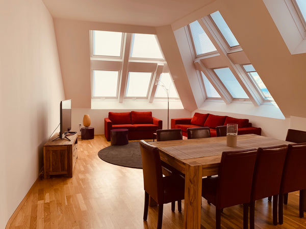 The apartment is very spacious with a beautiful rooftop. Vienna, Austria Beautiful rooftop Apartment Entire rental unit vacation rental 660516632498017179
