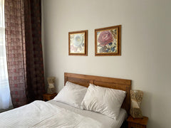 It is a bright and cozy studio apartment equipped with a double bed, a sofa, a c Prague, Czechia Charming Lovely Apartment in the Centre of Prague Entire rental unit vacation rental 624333246686118128