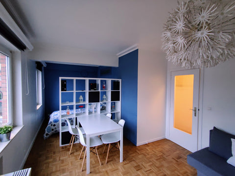 At 3,5 km from the heart of Brussels (Grand place, Royal Palace, EU Quarter (2,5 Brussels, Belgium Fabulous Urban Flat: Brussels Entire rental unit vacation rental 54047823