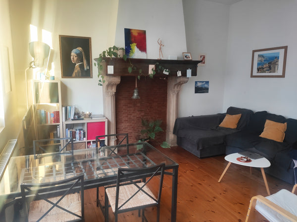 Cousy apartment with big windows.<br /><br />10 minutes walk from the European P  Apartment in Ixelles, Brussels Entire rental unit vacation rental 53412413