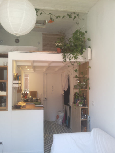 Plenty of light and good vibes, lightful, well organised for a cooking, sleeping Paris, France Mini loft for big romantism Entire condo vacation rental 7298238