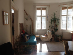 Die Wohnung wird gemeinsam genutzt, das Zimmer hat 11m² und wird jeweils für min Vienna, Austria Helles freundliches Zimmer in Altbau-WG Private room in vacation home vacation rental 637285105253989918