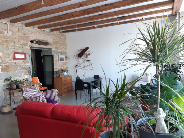 Charmant grand appartement en bord de Saône<br /><br />Charming flat on the Saon Lyon, France Charming flat on the Saone riverside . Entire rental unit vacation rental 49628537