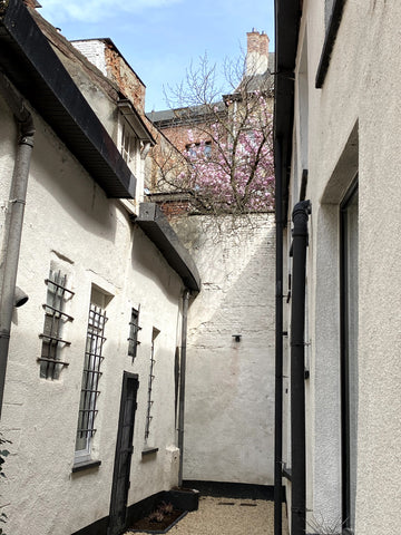 Achter de mooie gerenoveerde gevel schuilt een  doorgang naar de "Salm Salmgang" Antwerp, Belgium Cosy house in center, beautifully renovated Tiny home vacation rental 559095741461638676