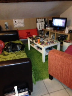 Petit appartement de 45 m² sous les toits de Lyon dans le quartier tranquille et Lyon, France Sous les toits de Lyon Entire rental unit vacation rental 10806312