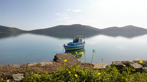 A quite apartment ,small but at the same time confortable for 2 or 3 person in t Agios Nikolaos, Greece Apartment 'Hermes' Crete Entire rental unit vacation rental 568737202096014594