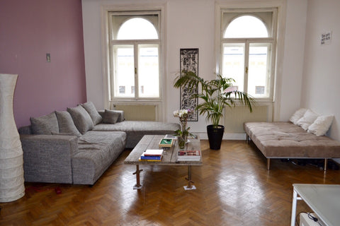 Bright, quiet and large apartment located just behind Vienna's city council buil Belgrade, Serbia Lovely, super central and  typical viennese flat Private room in rental unit vacation rental 6788584