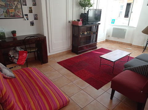 Appartement T2 de 36 m2 au 4eme étage lumineux avec ascenseur, situé dans Lyon 1  Appartement Cosy - Hotel de Ville Entire rental unit vacation rental 44424934