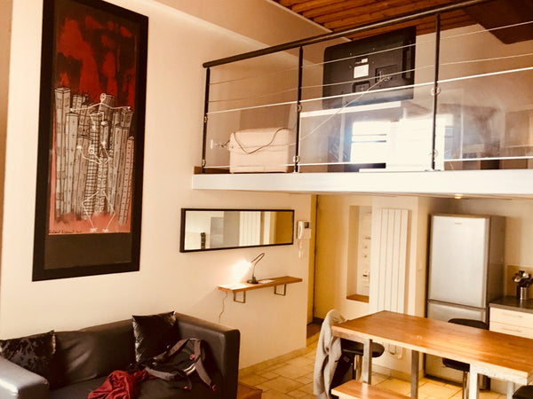 Very quiet flat next to Opera House. You will appreciate public carpark next to  Lyon, France Quiet loft for 8 with public parking and Netflix Entire rental unit vacation rental 35926038